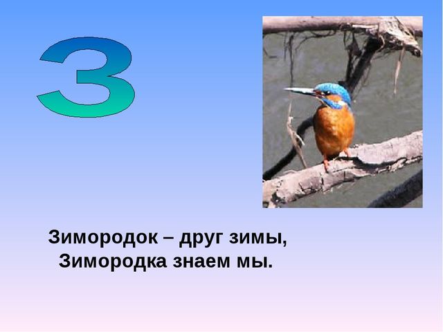 Презентация на тему "Азбука животных в стихах и загадках"