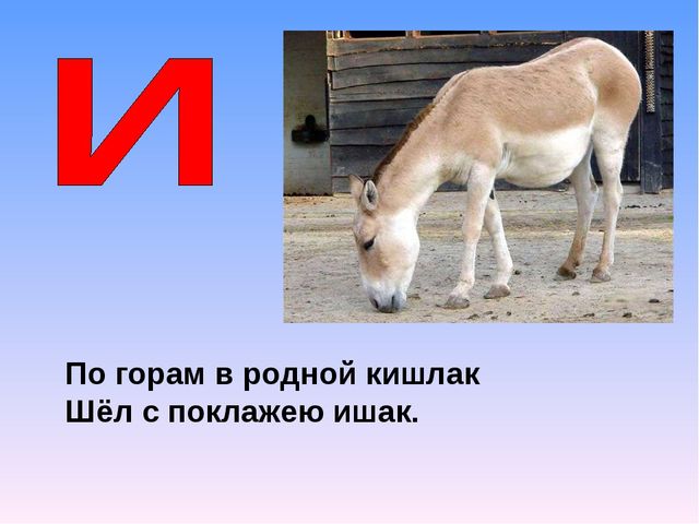 Презентация на тему "Азбука животных в стихах и загадках"