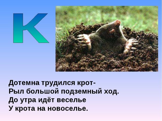 Презентация на тему "Азбука животных в стихах и загадках"