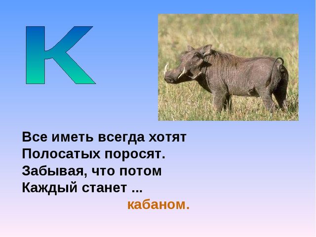 Презентация на тему "Азбука животных в стихах и загадках"
