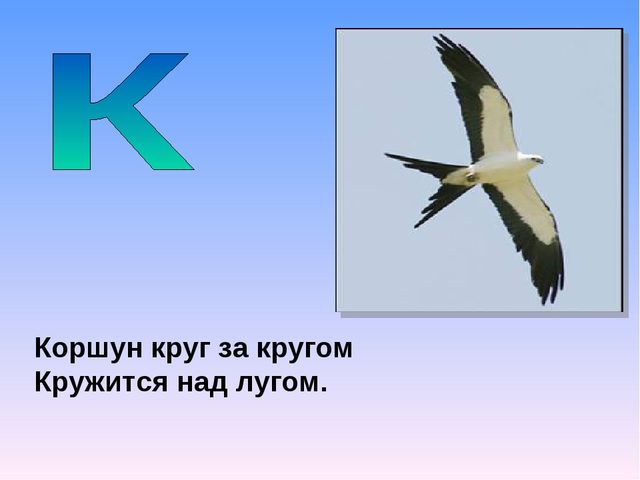 Презентация на тему "Азбука животных в стихах и загадках"