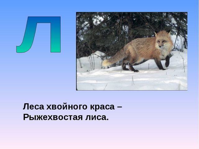 Презентация на тему "Азбука животных в стихах и загадках"
