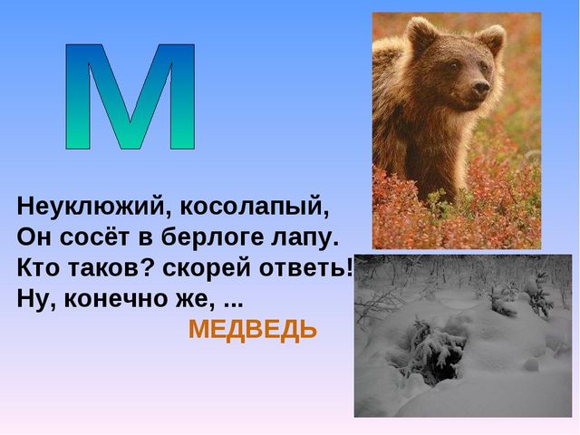 Презентация на тему "Азбука животных в стихах и загадках"