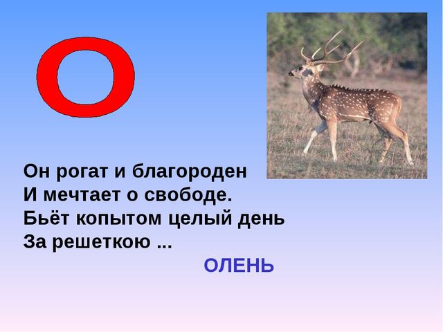 Презентация на тему "Азбука животных в стихах и загадках"