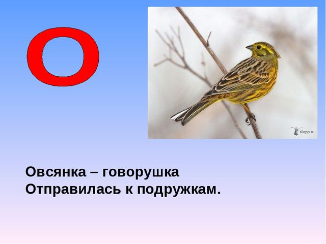 Презентация на тему "Азбука животных в стихах и загадках"