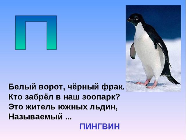 Презентация на тему "Азбука животных в стихах и загадках"