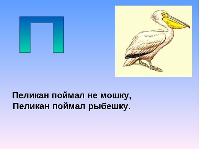 Презентация на тему "Азбука животных в стихах и загадках"