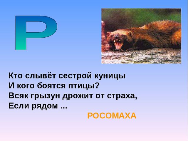 Презентация на тему "Азбука животных в стихах и загадках"