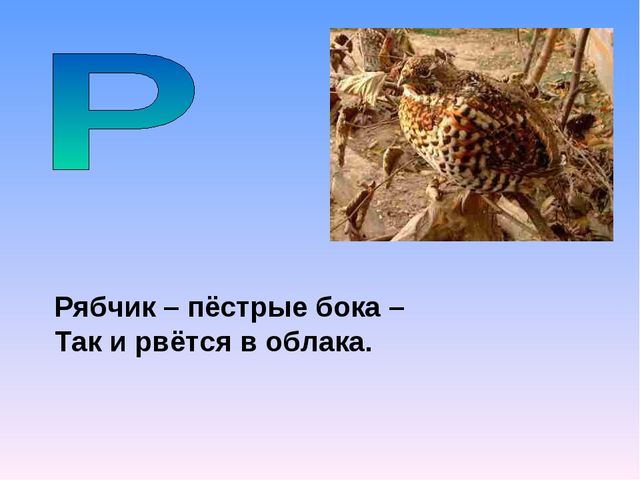 Презентация на тему "Азбука животных в стихах и загадках"
