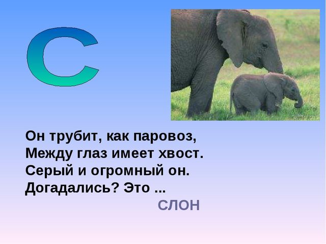 Презентация на тему "Азбука животных в стихах и загадках"