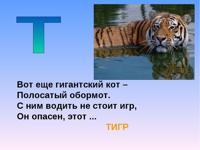 Презентация на тему "Азбука животных в стихах и загадках"