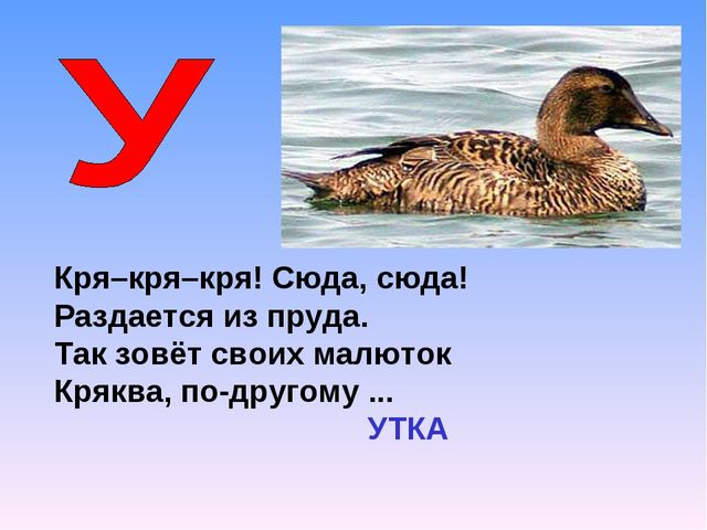 Презентация на тему "Азбука животных в стихах и загадках"