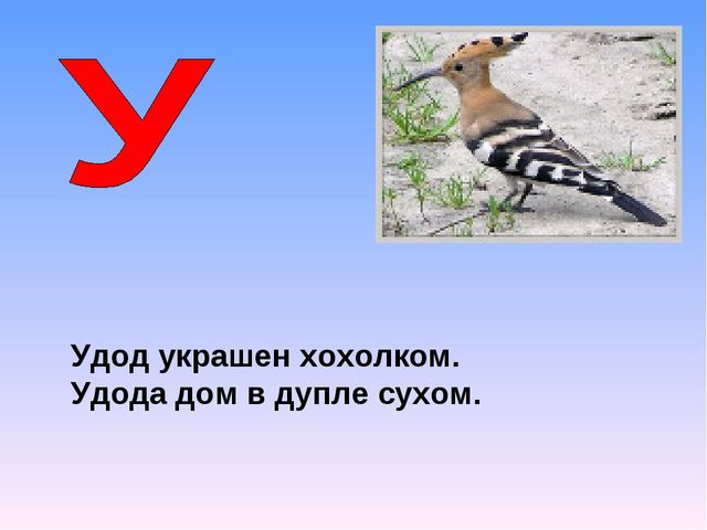 Презентация на тему "Азбука животных в стихах и загадках"