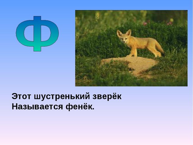Презентация на тему "Азбука животных в стихах и загадках"