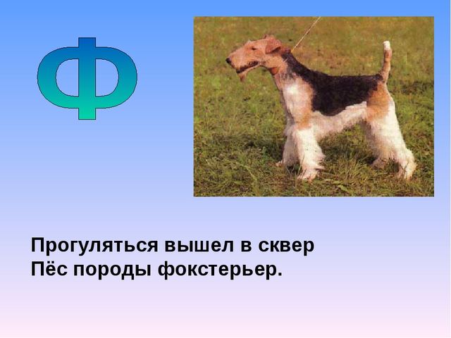 Презентация на тему "Азбука животных в стихах и загадках"