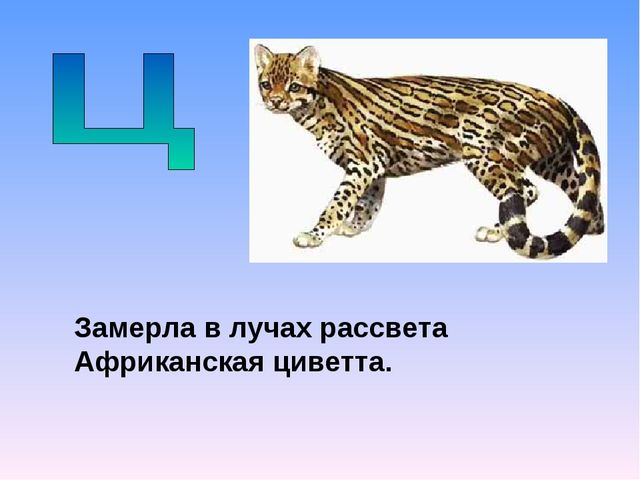 Презентация на тему "Азбука животных в стихах и загадках"