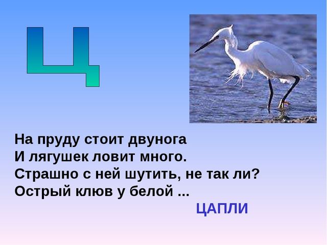Презентация на тему "Азбука животных в стихах и загадках"