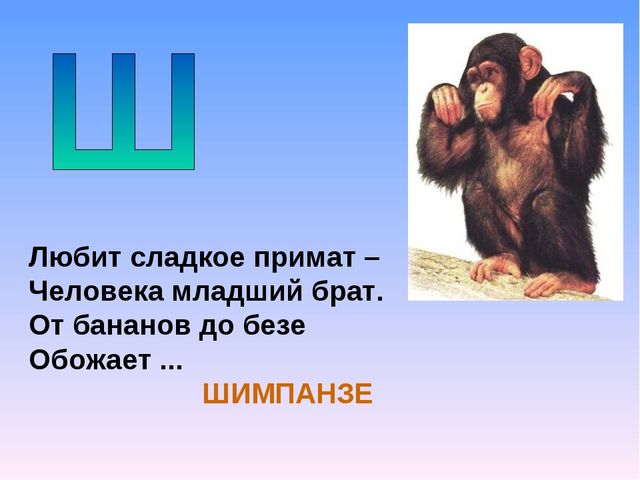 Презентация на тему "Азбука животных в стихах и загадках"