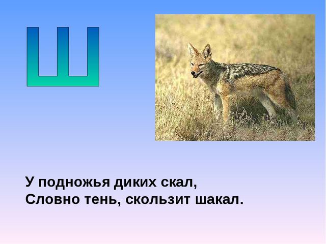 Презентация на тему "Азбука животных в стихах и загадках"