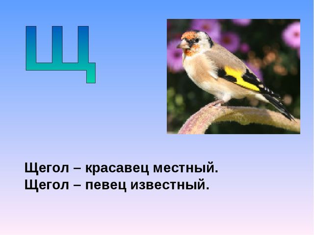 Презентация на тему "Азбука животных в стихах и загадках"