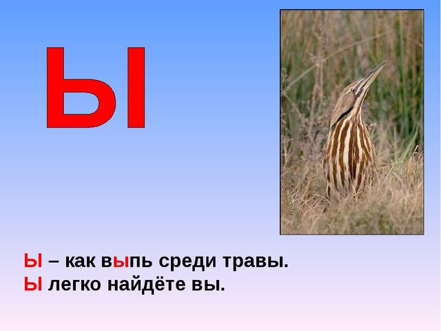 Презентация на тему "Азбука животных в стихах и загадках"
