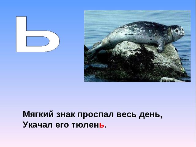Презентация на тему "Азбука животных в стихах и загадках"