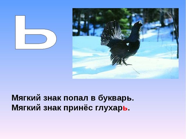 Презентация на тему "Азбука животных в стихах и загадках"