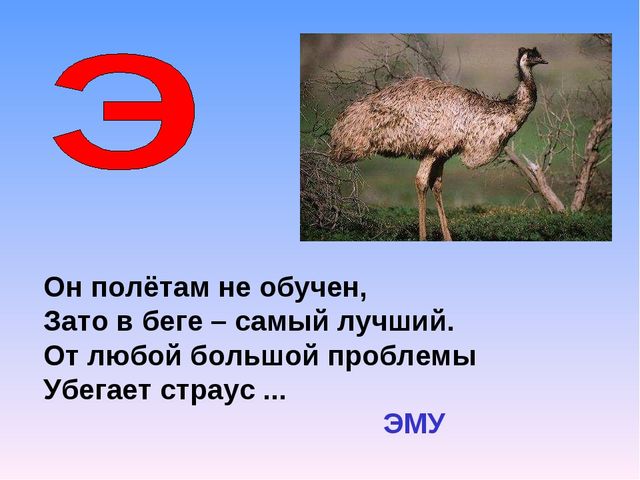 Презентация на тему "Азбука животных в стихах и загадках"