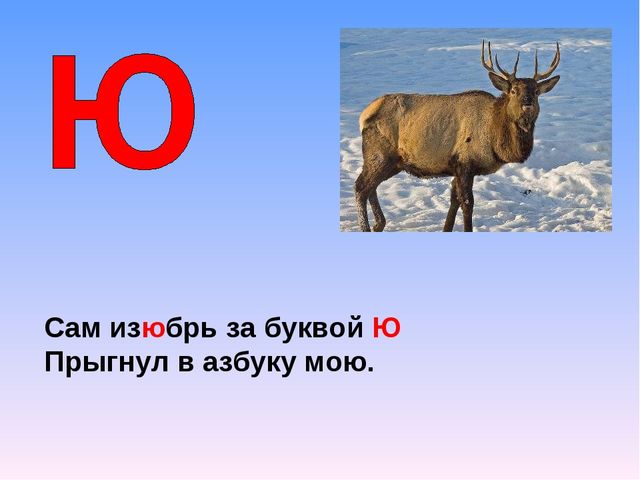 Презентация на тему "Азбука животных в стихах и загадках"