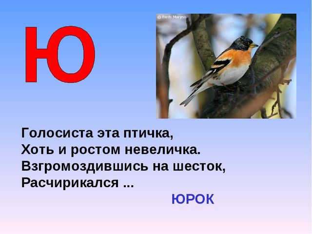 Презентация на тему "Азбука животных в стихах и загадках"