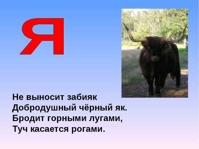 Презентация на тему "Азбука животных в стихах и загадках"