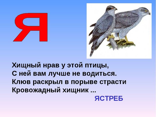 Презентация на тему "Азбука животных в стихах и загадках"