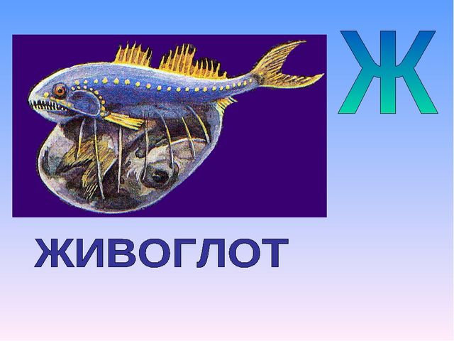 Презентация на тему "Азбука животных в стихах и загадках"