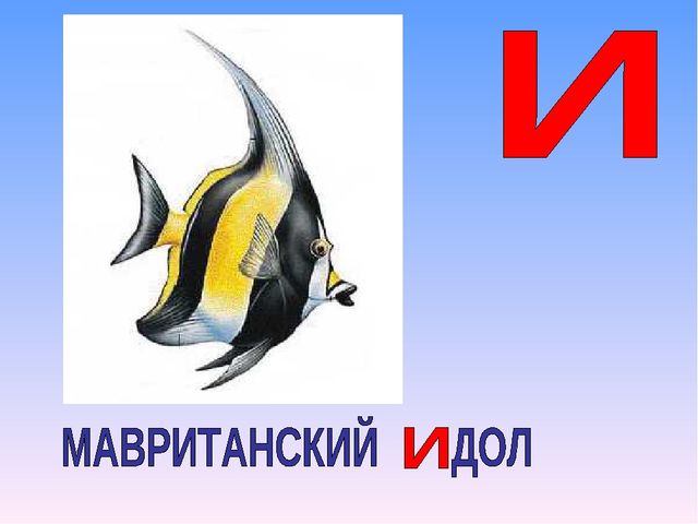 Презентация на тему "Азбука животных в стихах и загадках"