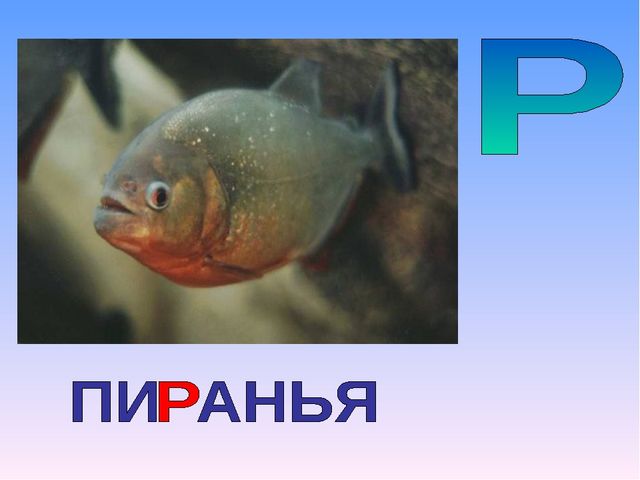 Презентация на тему "Азбука животных в стихах и загадках"