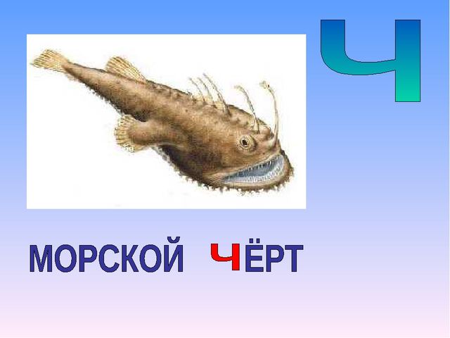 Презентация на тему "Азбука животных в стихах и загадках"