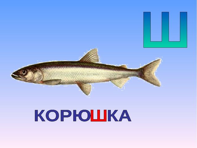 Презентация на тему "Азбука животных в стихах и загадках"