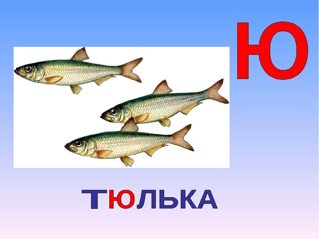 Презентация на тему "Азбука животных в стихах и загадках"
