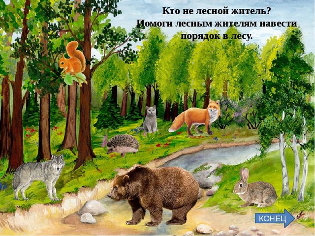 Игра с триггерами для средней группы "Лесной переполох"