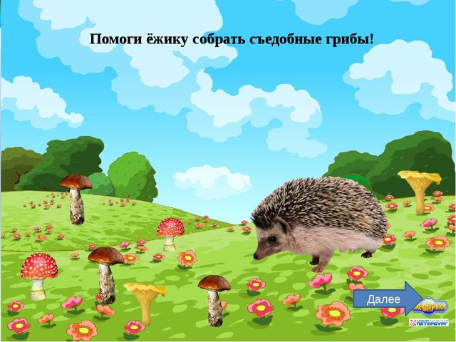 Игра с триггерами для средней группы "Лесной переполох"