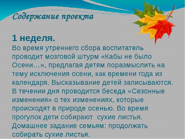 Проект в мини-центре "Золотая осень"