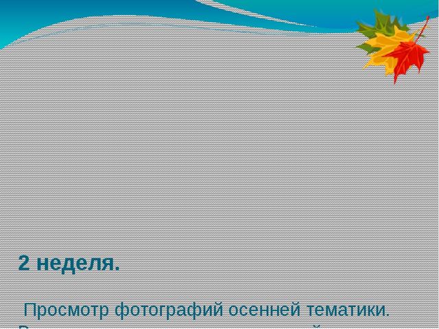 Проект в мини-центре "Золотая осень"