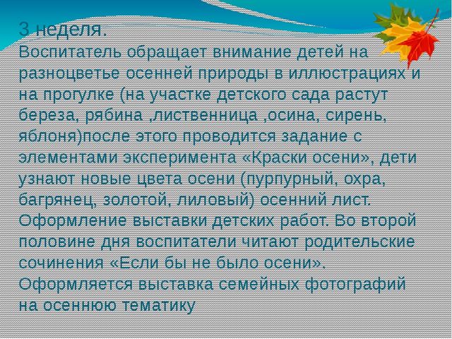 Проект в мини-центре "Золотая осень"