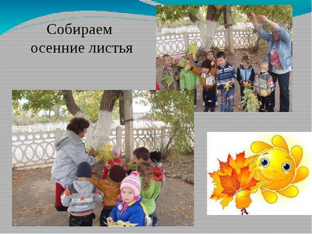 Проект в мини-центре "Золотая осень"