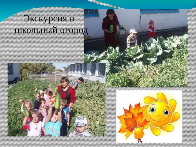 Проект в мини-центре "Золотая осень"