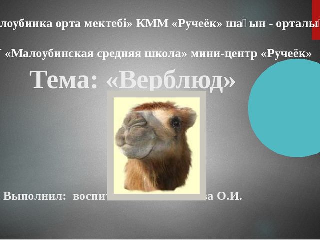 Презентация "Верблюд" ознакомление с окружающим миром старшая группа