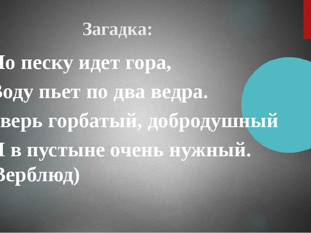 Презентация "Верблюд" ознакомление с окружающим миром старшая группа