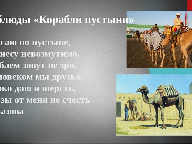 Презентация "Верблюд" ознакомление с окружающим миром старшая группа