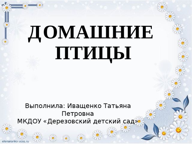Презентация для детей "Домашние птицы"