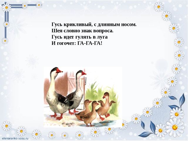 Презентация для детей "Домашние птицы"